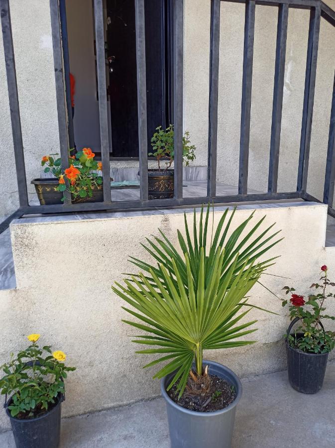 House B&B Mestia Luaran gambar
