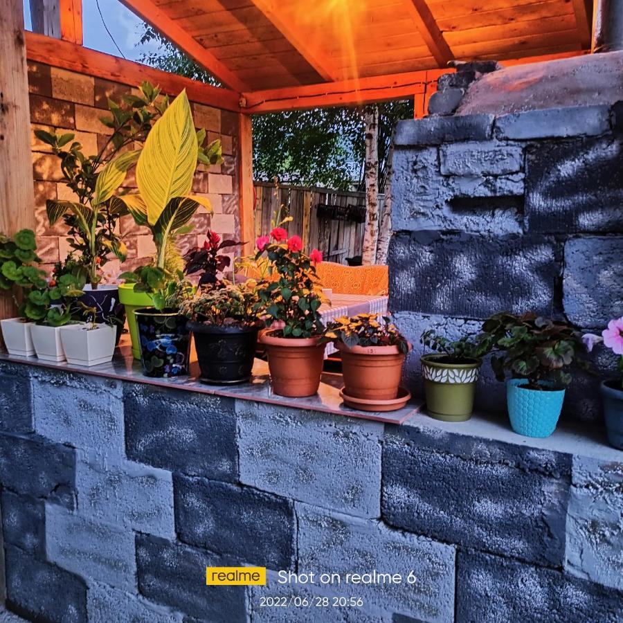 House B&B Mestia Luaran gambar