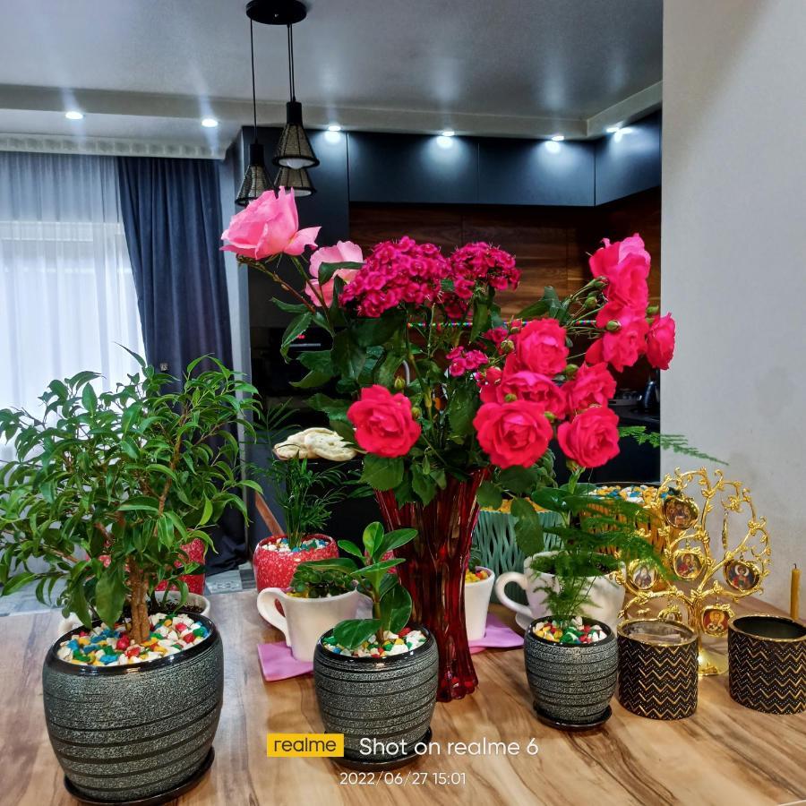 House B&B Mestia Luaran gambar