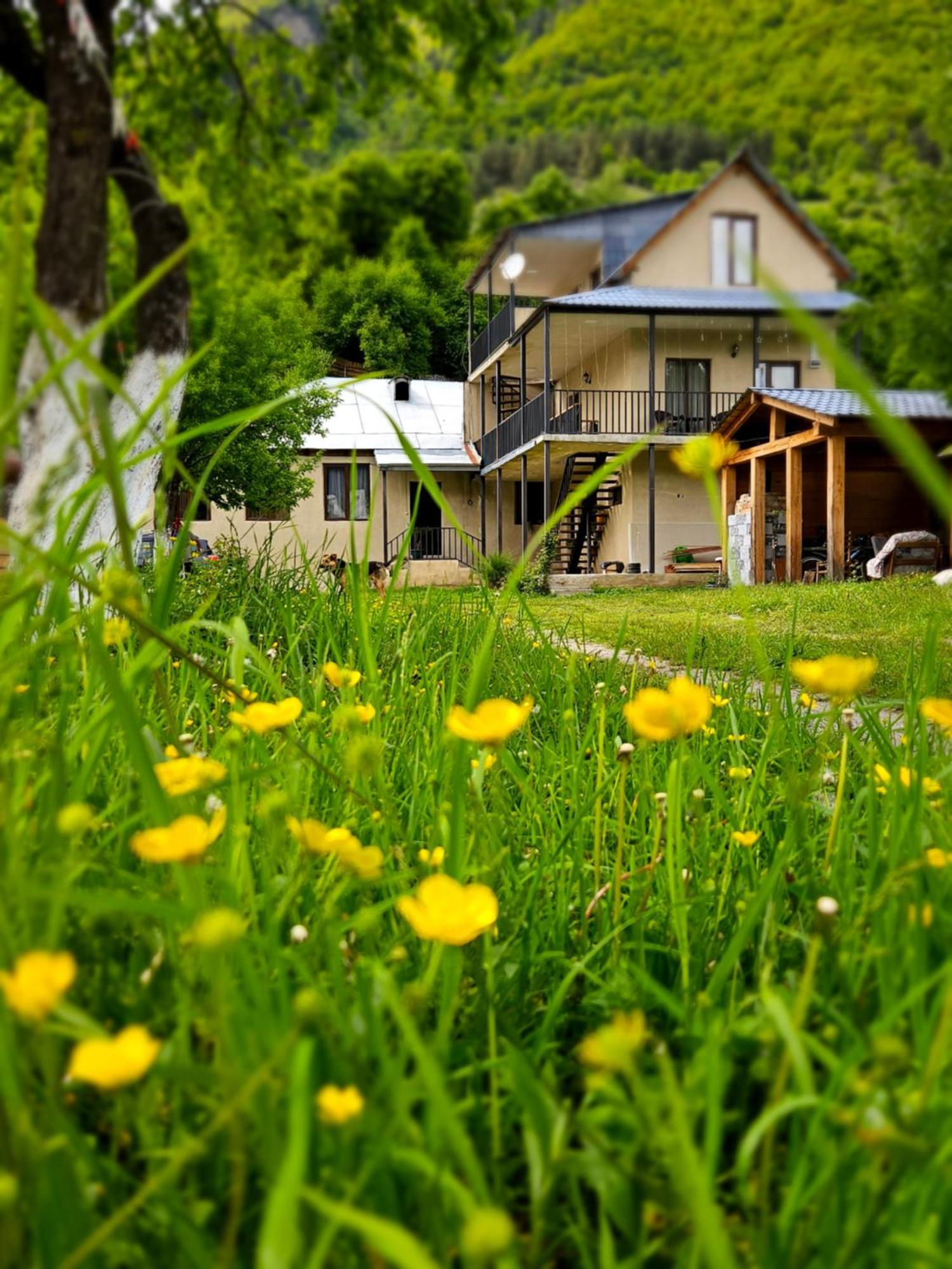 House B&B Mestia Luaran gambar
